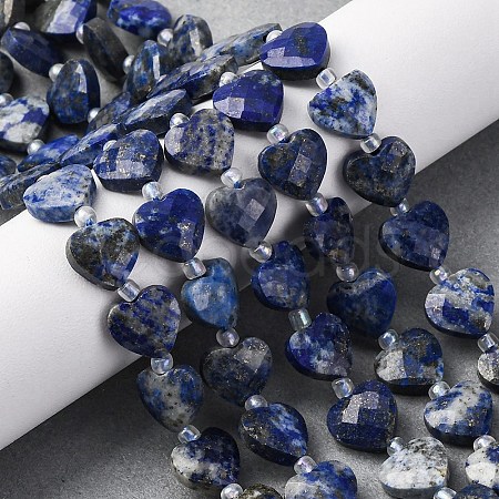 Natural Lapis Lazuli Beads Strands G-P570-E12-01-1