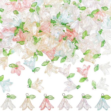 Transparent Acrylic Pendants FIND-SC0009-19-1