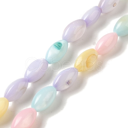Rainbow Color Dyed Natural Freshwater Shell Beads Strands SHEL-G018-02H-1