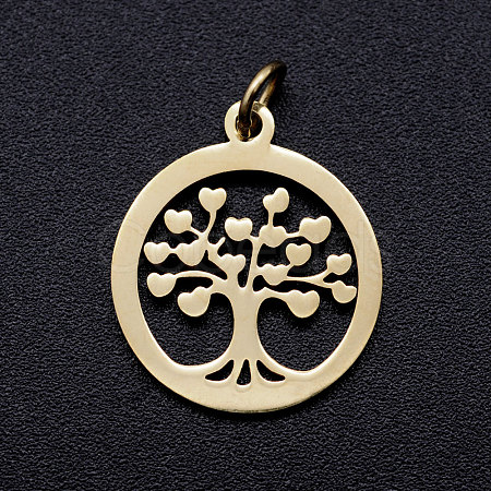 304 Stainless Steel Pendants LS-STAS-T046-JA350-2A-G-1