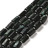 Natural Fuchsite Beads Strands G-N327-06-35-1