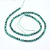 Natural Malachite Beads Strands G-I279-E15-03-2