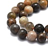 Natural Black Sunstone Beads Strands G-E576-01A-3