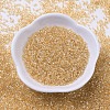 MIYUKI Delica Beads SEED-JP0008-DB0099-4