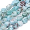 Natural Larimar Beads Strands G-L493-37-1