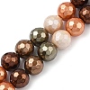 Faceted Round Shell Pearl Beads Strands BSHE-XCP0001-42-2