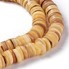 Natural Freshwater Shell Beads Strands BSHE-I016-04B-3