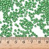 8/0 Glass Seed Beads X1-SEED-A010-3mm-47-4