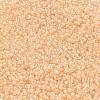 MIYUKI Round Rocailles Beads SEED-X0054-RR0282-2