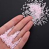 13/0 Glass Seed Beads SEED-T005-14A-A06-6