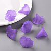 Transparent Acrylic Beads X-BSF796-C26-8