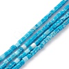 Dyed Natural Howlite Beads Strands G-H255-19-1