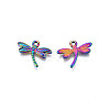 Rainbow Color Alloy Pendants PALLOY-N156-221-3
