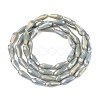 Electroplated Opaque Glass Beads Strands X-EGLA-L015-FR-B19-01-3