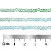 Transparent Painted Glass Beads Strands DGLA-A034-T2mm-A16-3