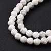 Natural Howlite Beads Strands G-H273-02B-5