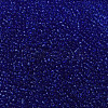 Glass Seed Beads SEED-A004-2mm-8-3