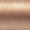 210D/3 Tex70 Nylon Sewing Thread NWIR-N006-01M1-0.2mm-2
