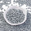 Baking Paint 6/0 Glass Seed Beads X-SEED-S003-K29-1