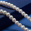 Natural Cultured Freshwater Pearl Beads Strands PEAR-E002-25-01-5
