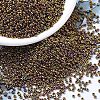 MIYUKI Round Rocailles Beads X-SEED-G007-RR0462-1
