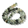 Natural Prehnite Beads Strands G-P322-48-8mm-01-2