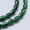 Natural Malachite Beads Strands G-F571-25-3