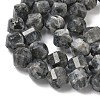 Natural Larvikite Beads Strands G-C267-B24-4