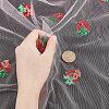 Mesh Embroidered Lace Trim OCOR-WH0073-34A-3