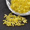 Tube Transparent Colours Rainbow Plated Glass Bugle Beads X-SEED-I001-170-1