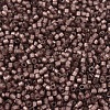 MIYUKI Delica Beads SEED-X0054-DB2183-3