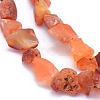 Raw Rough Natural Carnelian Beads Strands G-I279-B01-3