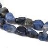 Natural Kyanite Beads Strands G-Q060-E17-4