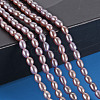 Natural Cultured Freshwater Pearl Beads Strands PEAR-N012-02D-5