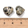 Natural Dalmatian Jasper Beads GG-CBA4A3B-C34-03-3