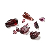 Natural Garnet Chip Beads G-O103-15H-01-3