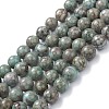 Natural Maifanite/Maifan Stone Beads Strands G-P451-01A-D-1