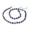 Natural Iolite Beads Strands G-O201B-02-2