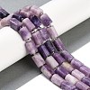 Natural Lepidolite Beads Strands G-M403-B35-03-2