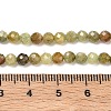 Natural Green Garnet Beads Strands G-Z161-A03-4mm-5