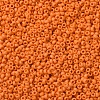 MIYUKI Round Rocailles Beads X-SEED-G007-RR2313-3