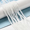 Imitation Jade Frosted Glass Bead Strands GLAA-F029-JM4mm-B06-4