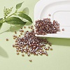 6/0 Glass Seed Beads SEED-YW0001-25J-6