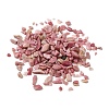 Natural Rhodonite Chip Beads G-O103-05B-2