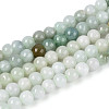 Natural Myanmar Jade Beads Strands G-N353-07F-01-2