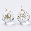Glass Pendants X-GLAA-Q070-002B-01-1