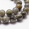 Natural Labradorite Bead Strands G-D840-64-8mm-3