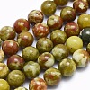 Natural Bloodstone Beads Strands G-I213-25-12mm-1