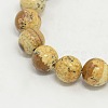 Picture Jasper Round Beads Strands G-GSR8mmC016-1