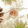 12Pcs 12 Colors Gemstone Pendants G-PH0001-33-WH-4